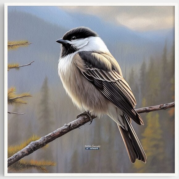 8x10 Chickadee Black‎ White Bird Watercolor Oil Painting Print - Picture 4 of 5